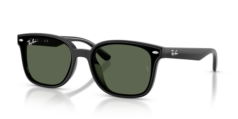 Ray-Ban RB4461D  Sunglasses