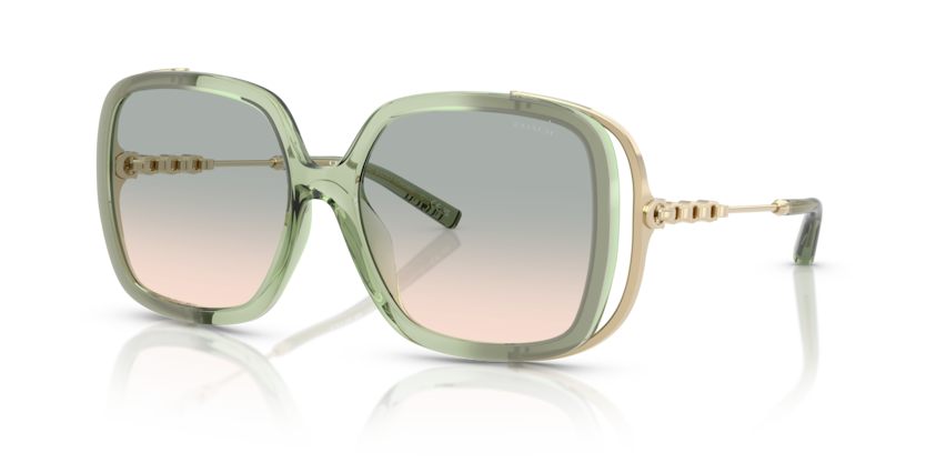 Coach HC8423U Cad80 Sunglasses