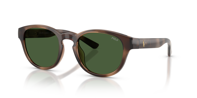 Polo PH4233U  Sunglasses