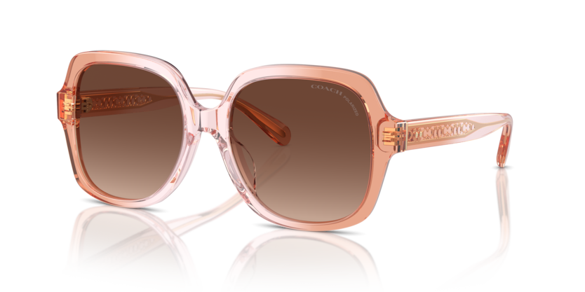 Coach HC8395U Cr614 Sunglasses