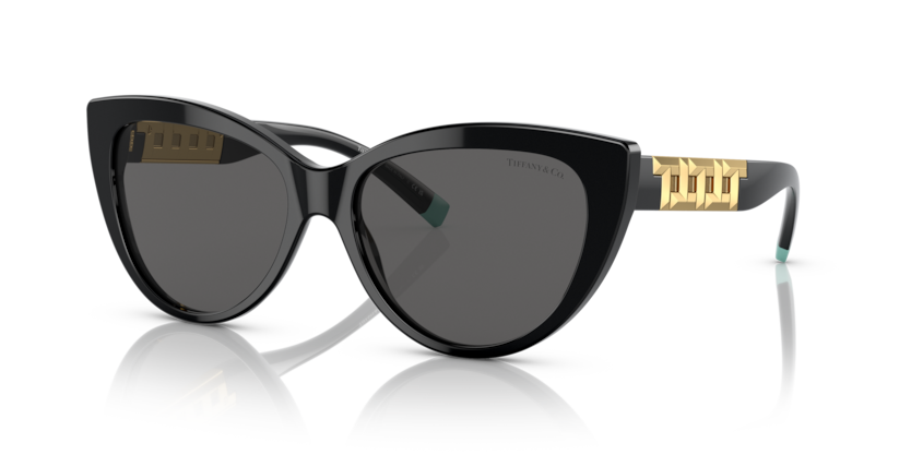 Tiffany TF4196  Sunglasses