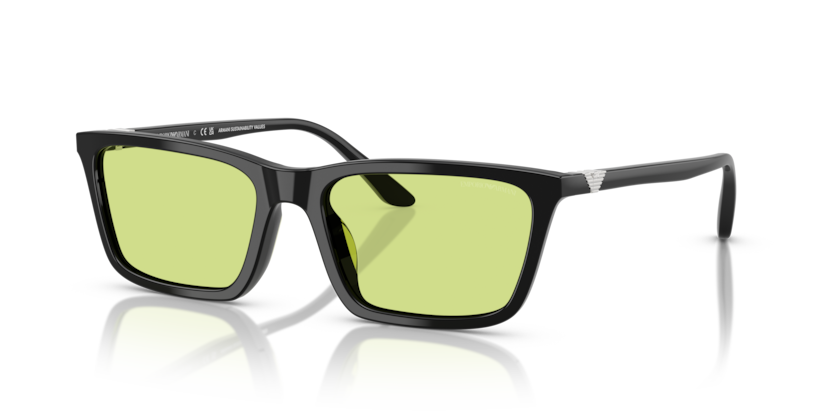 Emporio Armani EA4239U  Sunglasses