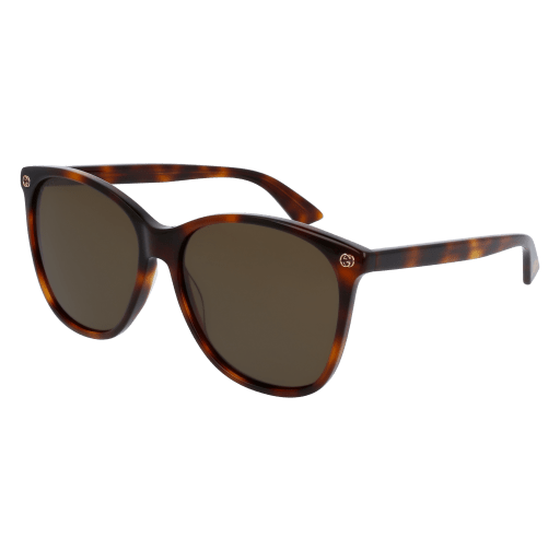 Gucci GG0024S Sunglasses