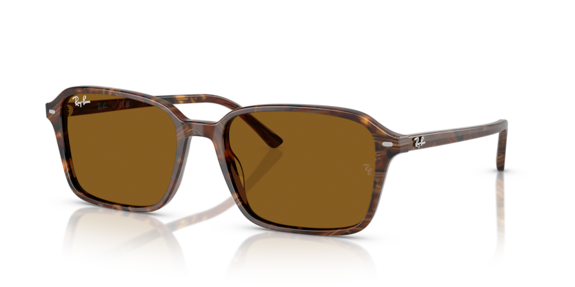 Ray-Ban RB2231 Raimond Sunglasses