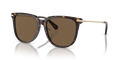 Swarovski SK6015D  Sunglasses