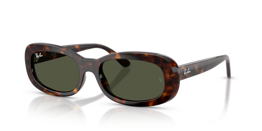 Ray-Ban RB2221F  Sunglasses