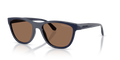 Arnette AN4379  Sunglasses