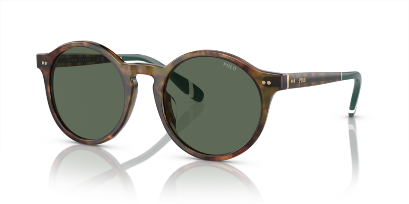 Polo PH4204U  Sunglasses