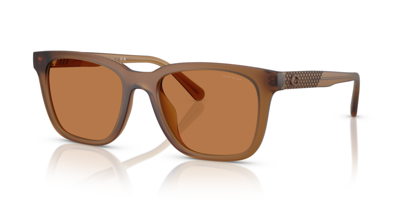 Coach HC8426U Cad81 Sunglasses