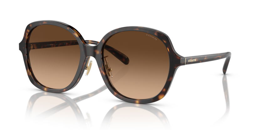 Coach HC8360F Ch610 Sunglasses