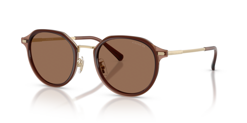 Coach HC7183 Cbz97 Sunglasses