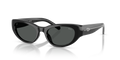 Diesel DL2010U  Sunglasses