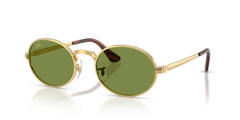 Ray-Ban RB3931  Sunglasses