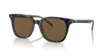 Polo PH4187  Sunglasses