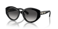 Swarovski SK6005  Sunglasses