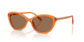 Swarovski SK6066U  Sunglasses