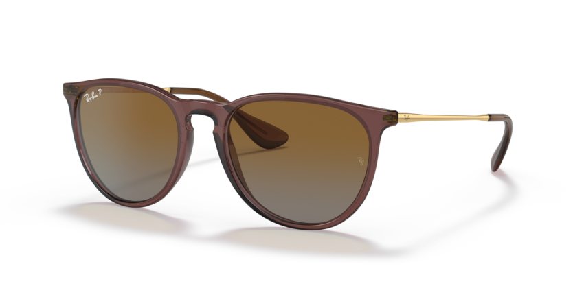 Ray-Ban RB4171 Erika Sunglasses