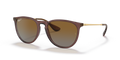 Ray-Ban RB4171 Erika Sunglasses