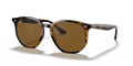 Ray-Ban RB4306  Sunglasses