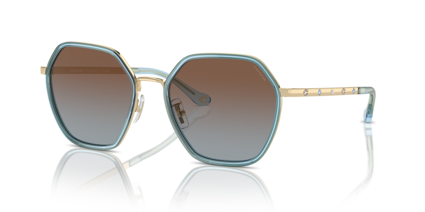 Coach HC7167B Cs543 Sunglasses
