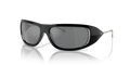 Diesel DL3001  Sunglasses