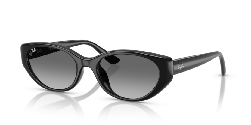 Ray-Ban RB4457D  Sunglasses