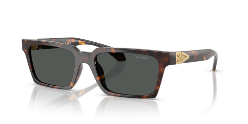 Versace VE4490U  Sunglasses