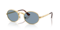 Ray-Ban RB3931  Sunglasses