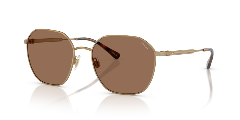 Polo PH3160  Sunglasses