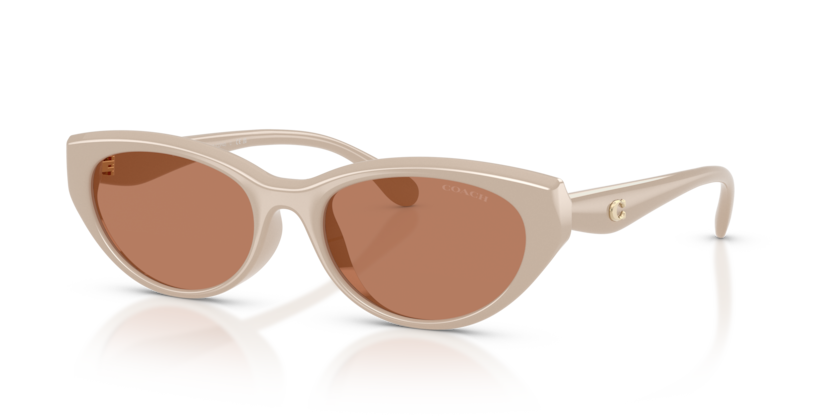 Coach HC8456D Cdp42 Sunglasses