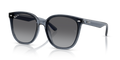 Ray-Ban RB4423D  Sunglasses
