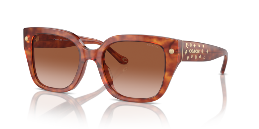 Coach HC8392U Cr611 Sunglasses
