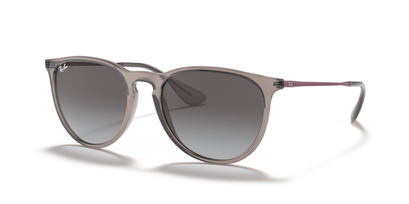 Ray-Ban RB4171 Erika Sunglasses