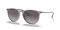 Ray-Ban RB4171 Erika Sunglasses