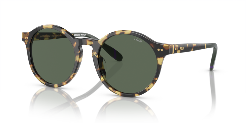 Polo PH4204U  Sunglasses
