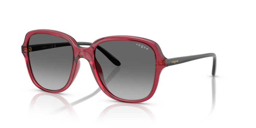 Vogue VO5601SF  Sunglasses