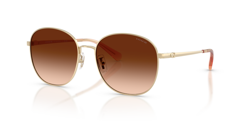Coach HC7189 Cdp39 Sunglasses