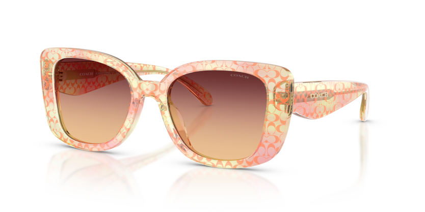 Coach HC8450U Cdp48 Sunglasses