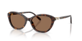 Swarovski SK6066U  Sunglasses
