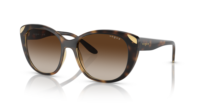 Vogue VO5457S  Sunglasses