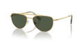 Swarovski SK7007  Sunglasses