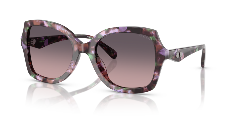 Coach HC8410U Cw225 Sunglasses