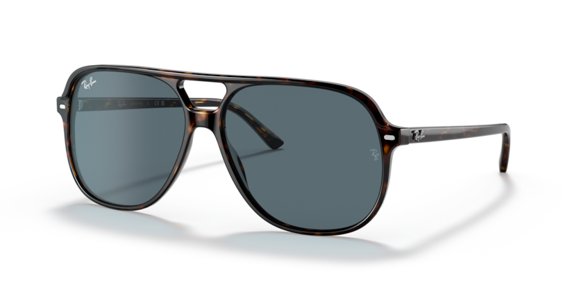 Ray-Ban RB2198 Bill Sunglasses