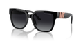 Michael Kors MK2170U Karlie Sunglasses