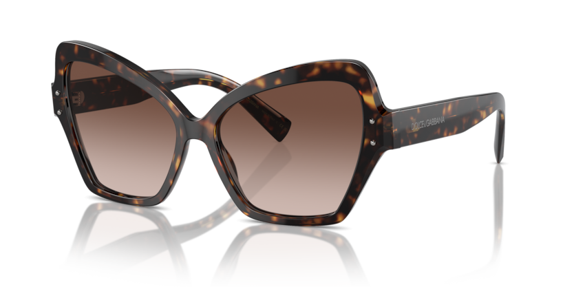Dolce & Gabbana DG4463  Sunglasses