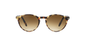 Persol PO3092SM  Sunglasses