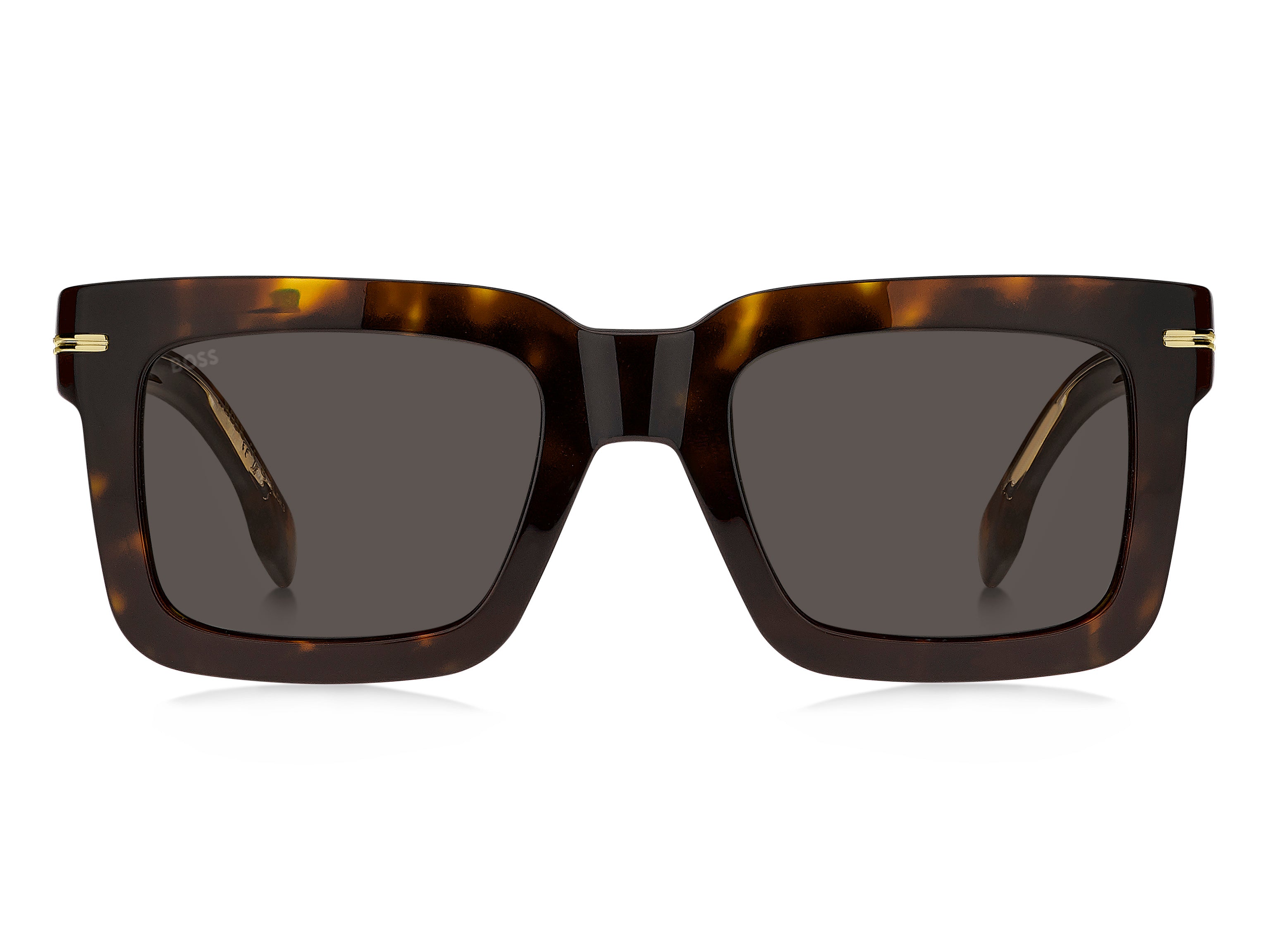 Hugo Boss 1501/s Sunglasses