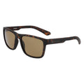 Dragon DR REED LL Sunglasses