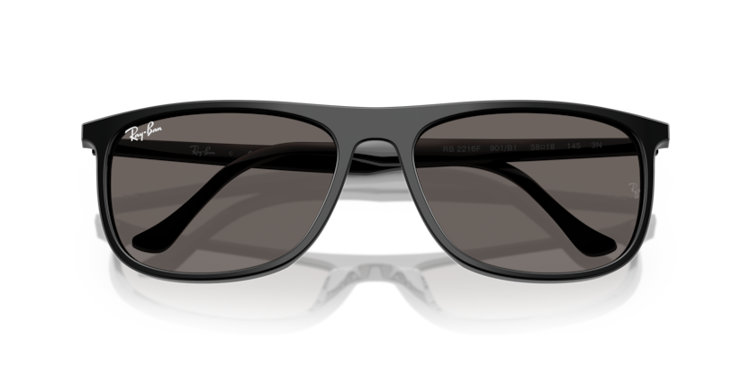 Ray-Ban RB2216F  Sunglasses
