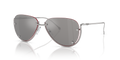 Diesel DL1003  Sunglasses